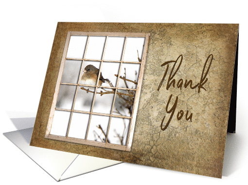 Thank You, View Through Old Window Small Bird on Branch card (1223142)