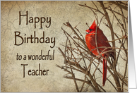 Birthday - Teacher - Red Cardinal - Branch - Textures card