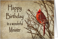 Birthday - Minister - Red Cardinal - Branch - Textures card