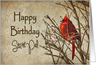 Birthday - Secret Pal - Red Cardinal - Branch - Textures card