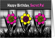Birthday, SECRET PAL, Colorful and Abstract Daisies on Black Patterns card