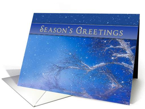 Season's Greetings - Business/Company Holiday Card-Blue card (1318748)