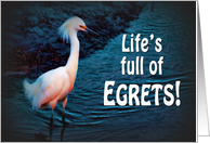 Encouragement - Don’t Look back with EGRETS card