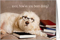 Thinking of You - Studious Dog by pile of Books card