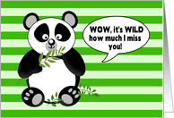 Miss You - Humor - Panda Bear looking surprised card