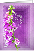 Thank You, Blank,Purple/Lavender, Foxglove Flower card
