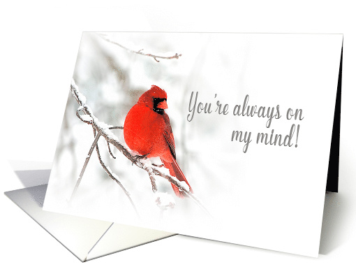 You're always on my mind - Red Cardinal - Snow scene card (1508274)