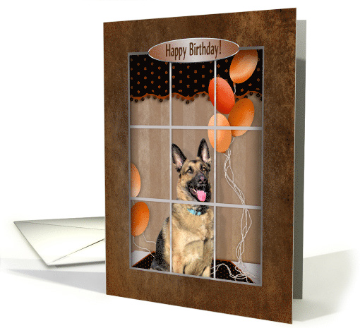 Birthday, German Shepherd looking out Window card (1519464)