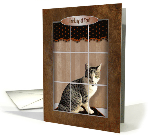 Thinking of you, Sweet cat with green eyes looking out Window card
