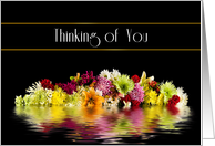 Thinking of You, Reflections of Colorful Flowers on black, Blank Card