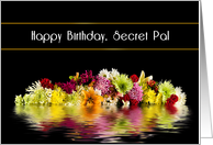 Birthday, Secret Pal, Reflections of Colorful Flowers card