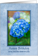 Sister-in-love Birthday Hydrangea with 3D Effect within Blue Frame, card