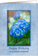 Godmother Birthday Hydrangea with 3D Effect within Blue Frame, card