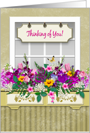 Thinking of You, Window Box With Colorful Flowers, Blank Inside card