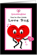 Valentine’s Day, Granddaughter, You’re OUR Little Love Bug card