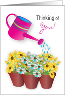 Thinking of You Watering Can and Pots of Daisy Like Flowers card
