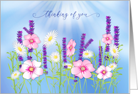 Thinking of You Garden Pink Purple and White Flowers Isolated on Blue card