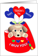 Valentines Day for Kids Sweetie Unique Puppy in Round Box Heart Balloons card