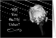 Will You Be My Usher? card
