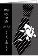 Will You Be My Junior Groomsman? card