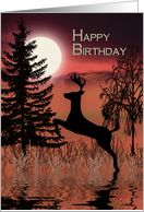 Happy Birthday, Deer at sunset with its reflections in water card