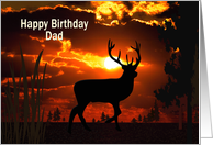 Birthday, Dad, Deer at Sunset card