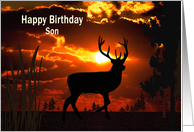 Birthday, Son, Silouhette of deer in sunset card