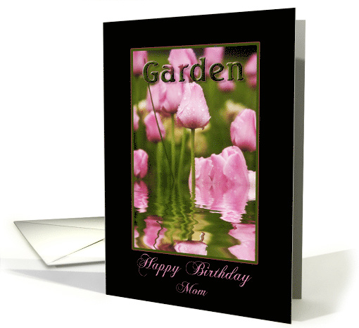 Birthday, Mother, Garden of Pink Tulips with Reflections in Water card