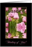 Thinking of You, Garden of Pink Tulips with Reflections in Water,Blank card