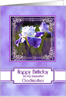 Birthday, Godmother, Elegant Purple and White Iris in Fancy Frame card