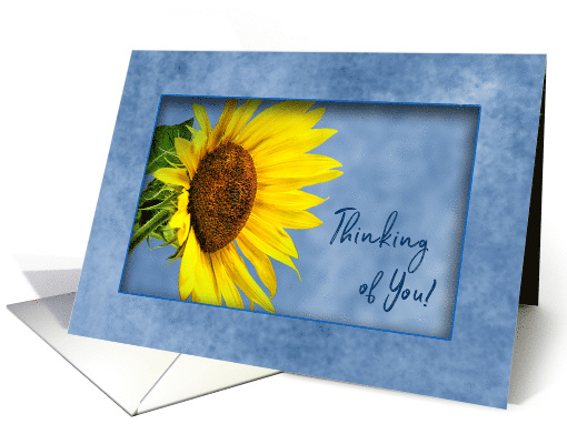 Thinking of You, Bright Sunflower on blue card (475372)