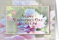 Valentine’s Day, Secret Pal, Dreamy Peony Flower on Faux Texture card