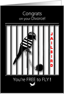Divorce, Congrats, Humor Concept of Jailbird Free to Fly card