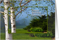 Happy Birthday, Son-in-law, Beautiful White Birch Tree on a Misty Morn card