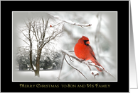 Merry Christmas -Son - Family - Red Cardinal - Snow storm card