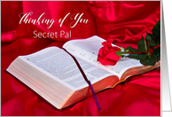 Thinking of You, Secret Pal, Bible Open with Red Rose on Silk card