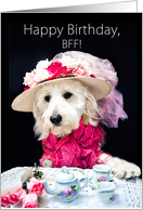 Birthday, BFF, Friend, Dog Wearing Fancy Hat while having Tea card