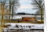 Horse Farm - Blank Card - Winter - Snow card