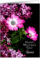 Mother’s Day, Sister, Bright and Beautiful Fuchsia flowers- card