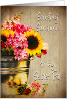 Thinking of You, Secret Pal, Bucket of Sunshine,Sunflowers. card