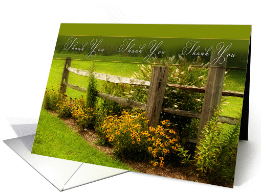 Thank You- Countryside - Black-eyed Susan Flowers - split... (855962)