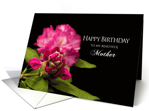 Birthday, Mother, Fuchsia Rhododendron Flowers on Black... (926522)