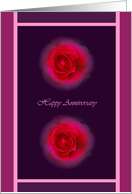 Happy Aniversary - Roses card