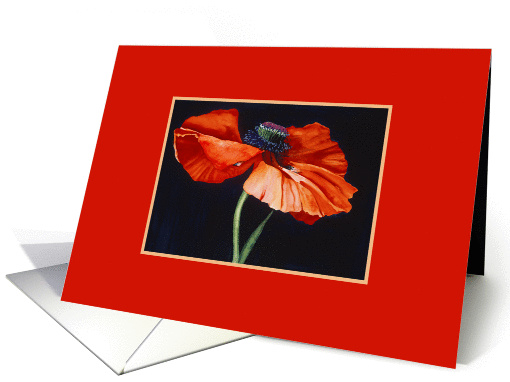 Red Poppy card (342613)