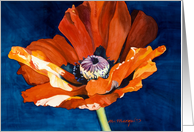 Red Poppy on Blue card