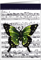 Musical butterfly in green card