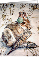 Snowshoe Hare ~ Get Well card