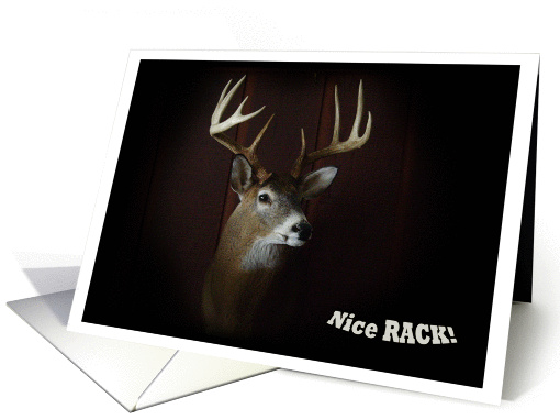 Nice Rack ~ Deer Collect card (725533)