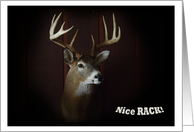 Nice Rack ~ Deer Collect card