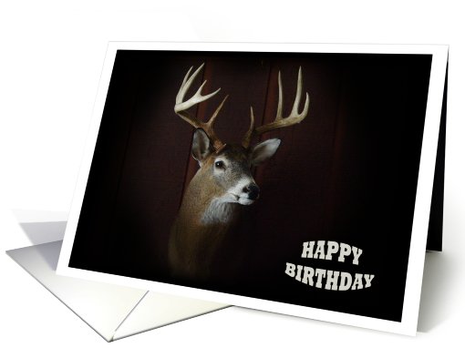 Happy Birthday ~ Deer Collect card (732768)